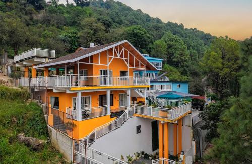ama stays and trails white hackle dharamshala