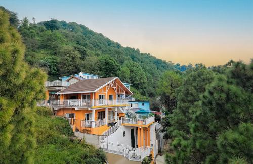 ama stays and trails white hackle dharamshala