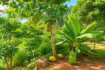 hilltop retreat matale