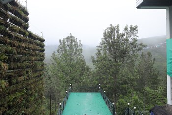 memories at the blue mountains