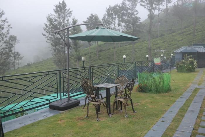 memories at the blue mountains