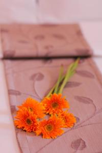 sequoia hotel quezon city