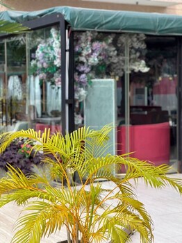 sujimoto residences precious