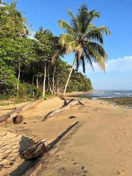 caribbean flow cabins