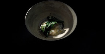 hotel fork and knife miyajima opening in mar 28th 2026