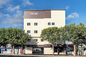 lantana hotel daegu sinam