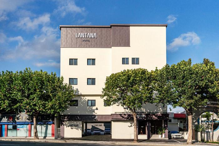 lantana hotel daegu sinam