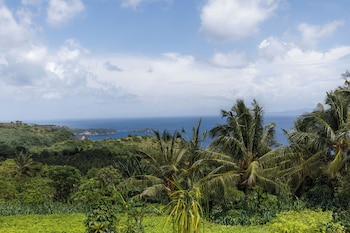 janggur baud hill nusa penida