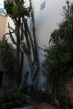 Four Seasons Of Bliss At Sohora Hotel,,0 star