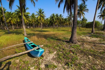 the calm resort and spa