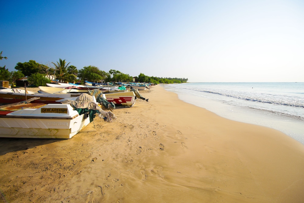 the calm resort and spa