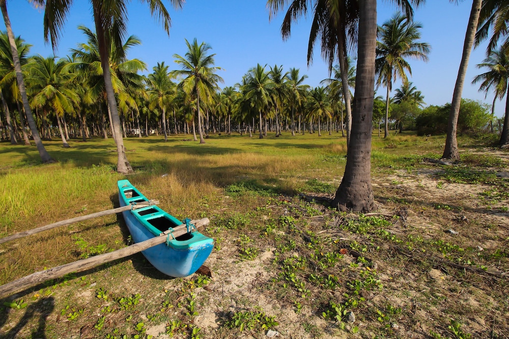 the calm resort and spa