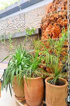 rayan house