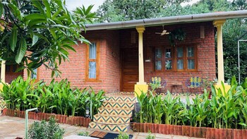 green roots farm stay