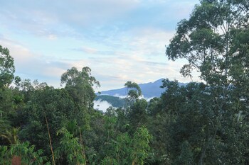 ivory canopy resort