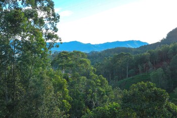 ivory canopy resort