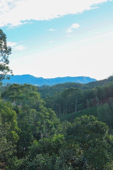 ivory canopy resort