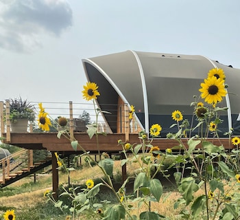 shortgrass resort