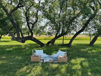 shortgrass resort