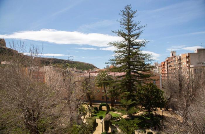 alicante