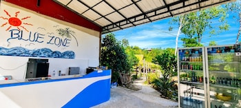 blue zone hostel