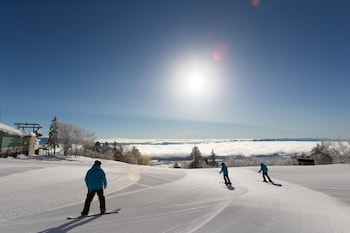 shin furano prince hotel