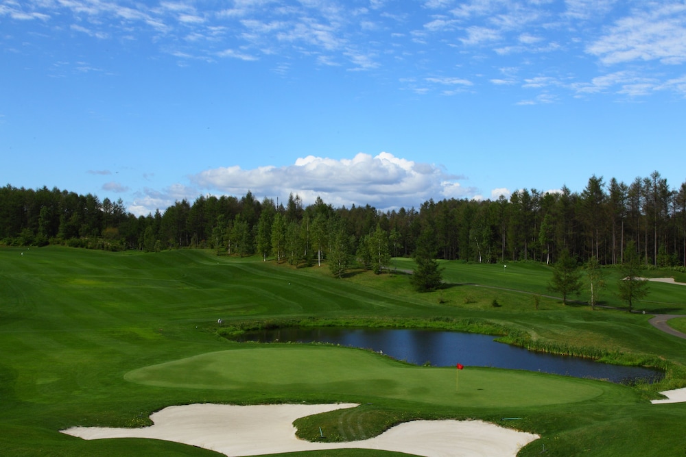 shin furano prince hotel
