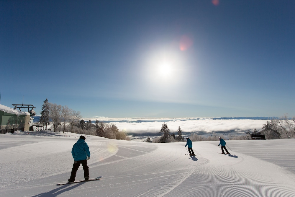 shin furano prince hotel
