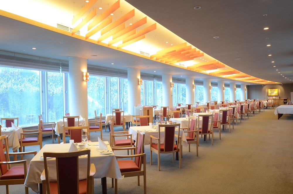 shin furano prince hotel