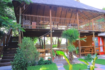 three tree hotel