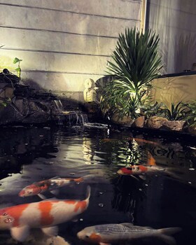la home