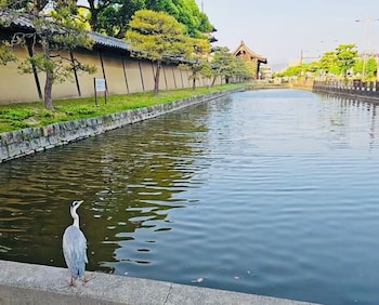 the kagaya kyoto toji