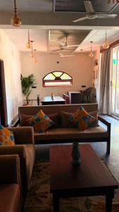 chique shanti villa