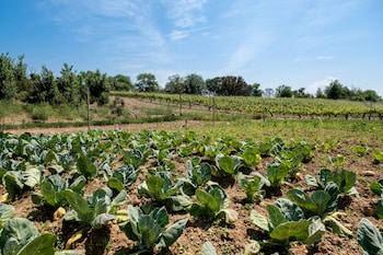 castilla termal monasterio de valbuena