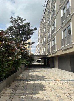 orchid parc by evaddo
