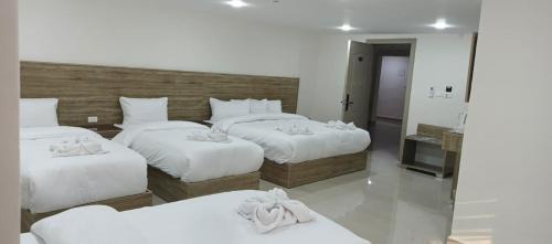 petra desert hotel