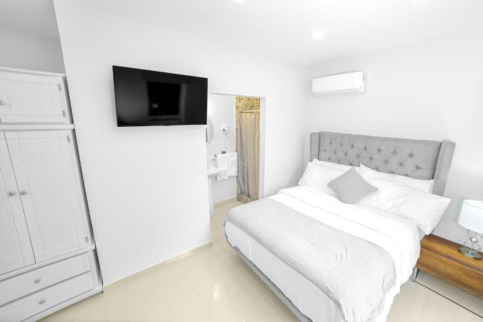 arbol suite