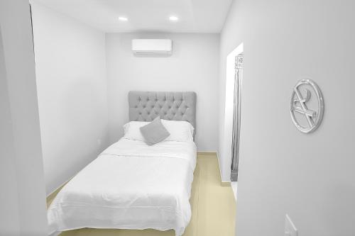 arbol suite