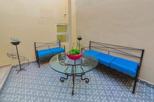 arbol suite