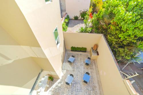 arbol suite
