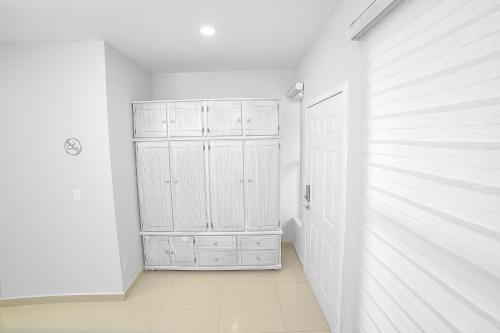 arbol suite