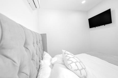 arbol suite