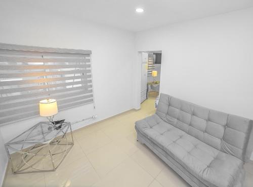 arbol suite