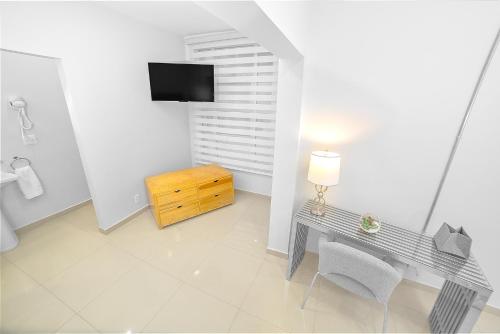 arbol suite