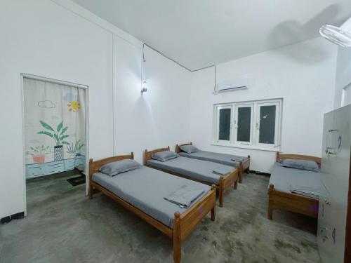 colombo mount hostel