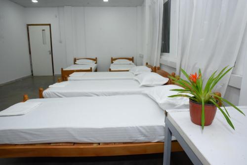 colombo mount hostel