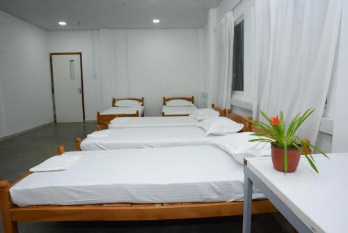dehiwala mount lavinia