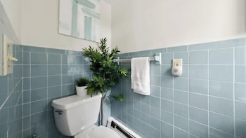 prime luxe 3 br nyc free parking