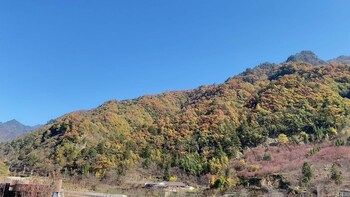 country retreats shaanxi foping