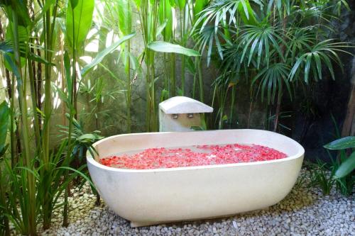 nomadic resort bali